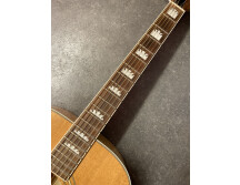 Stanford Blonde Sister (87509)