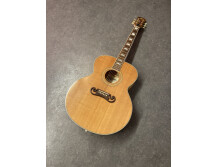 Stanford Blonde Sister (77494)
