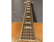 Stanford Blonde Sister (99699)