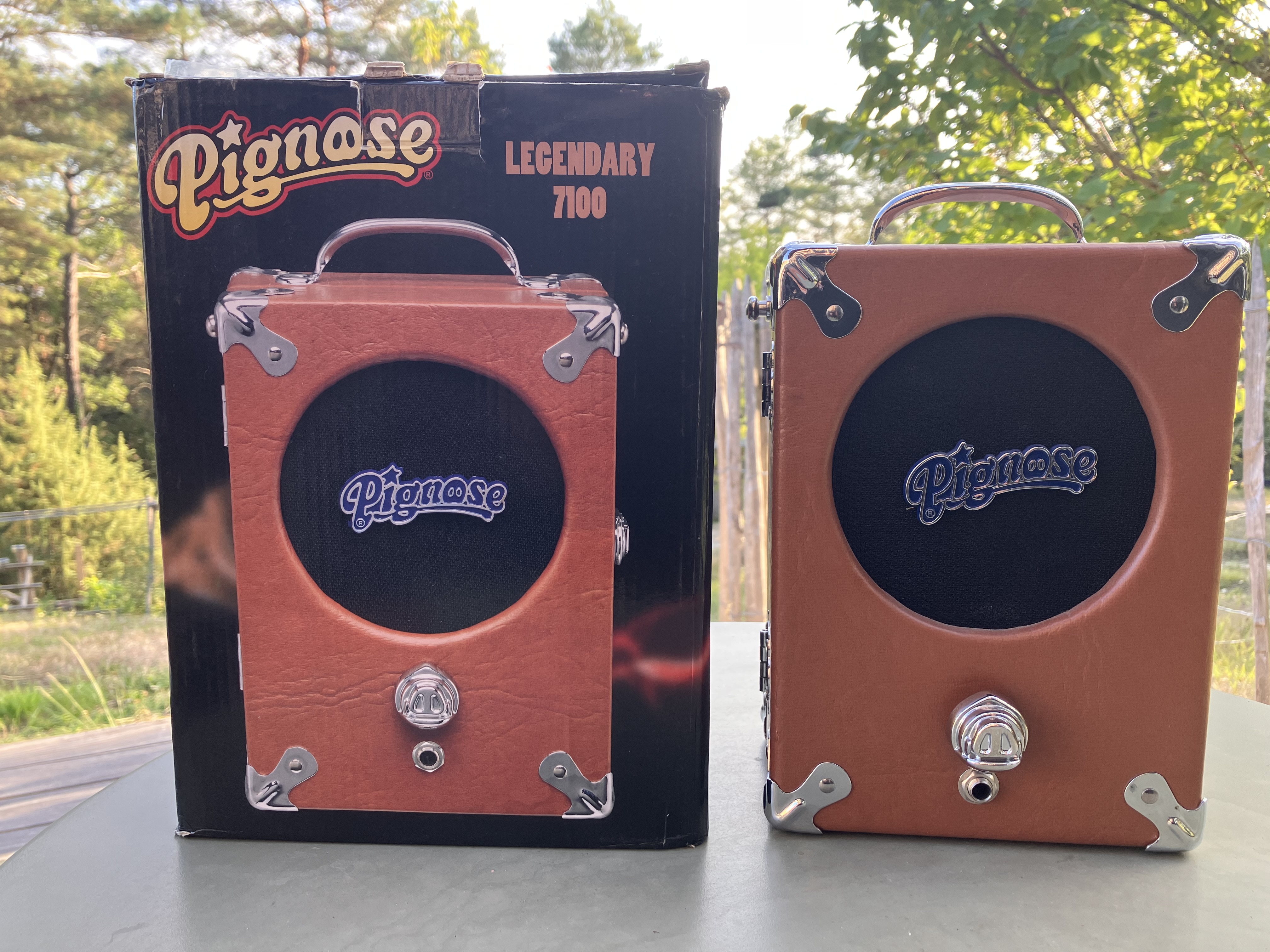 Pignose Legendary 7-100 : IMG 0172