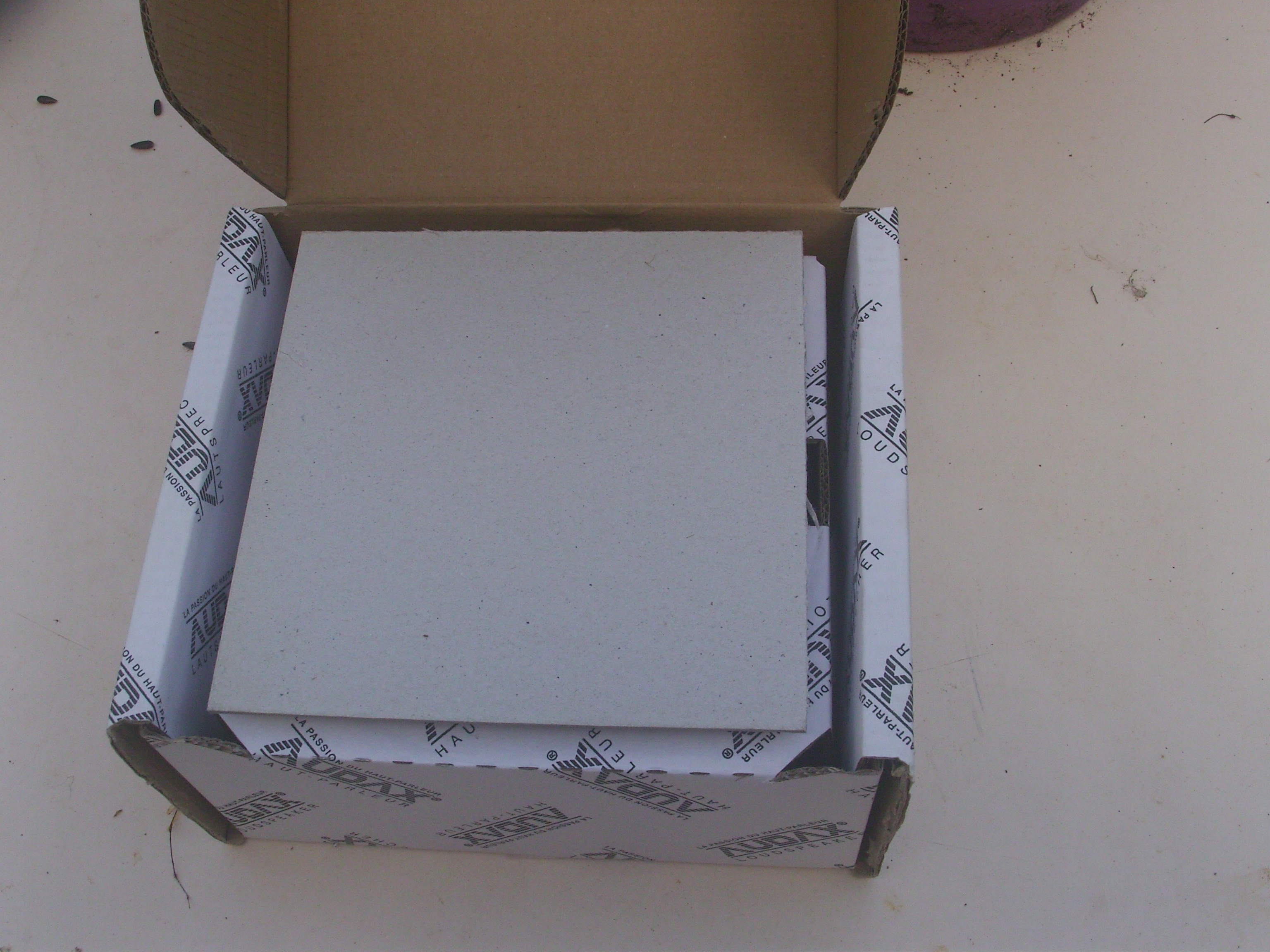 audax medium basse (2)