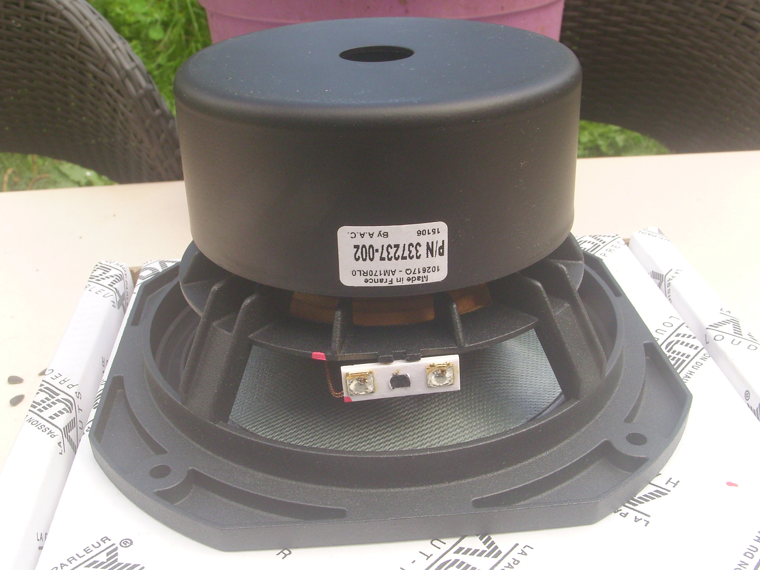 audax medium basse (8)