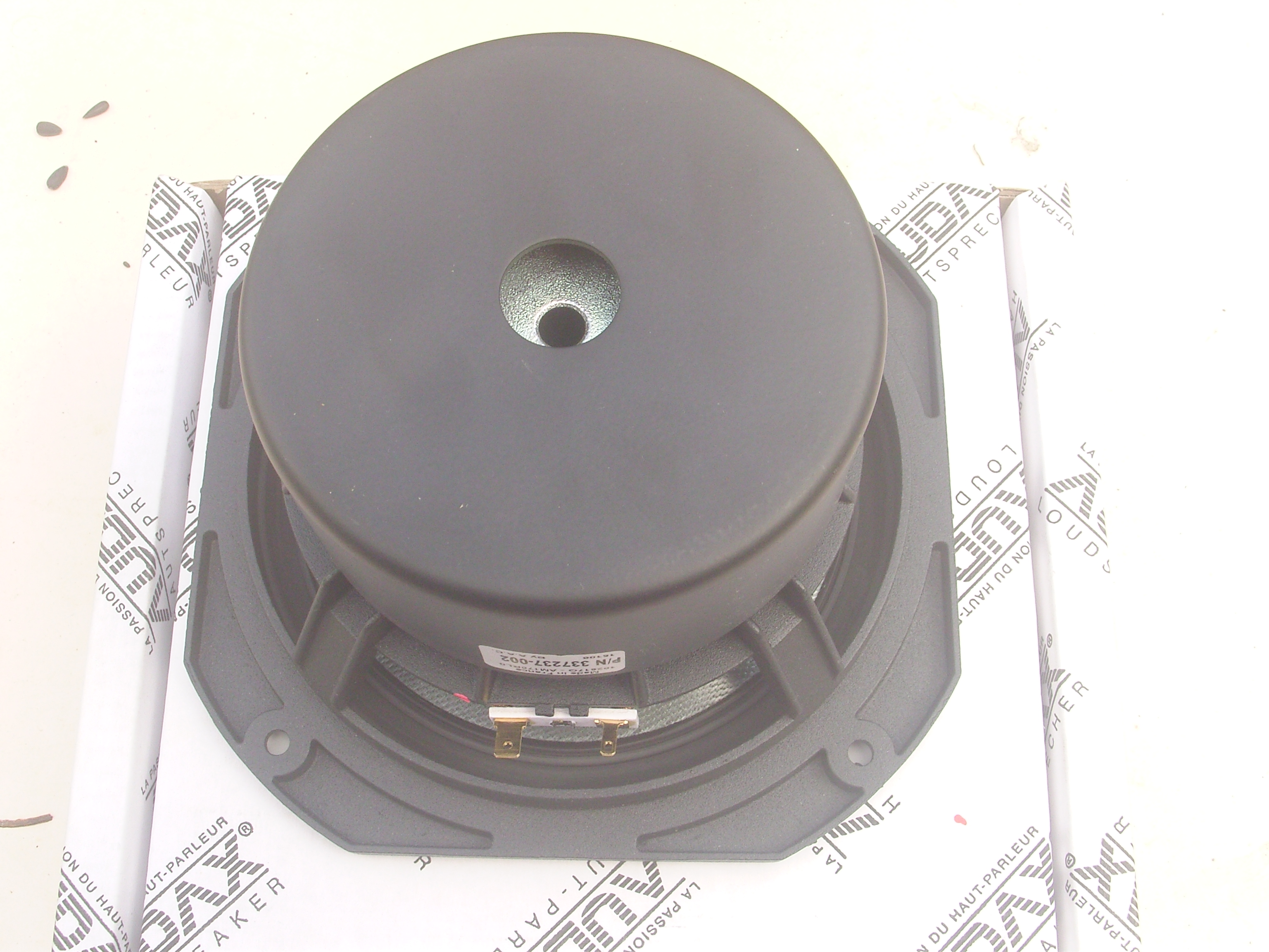audax medium basse (9)