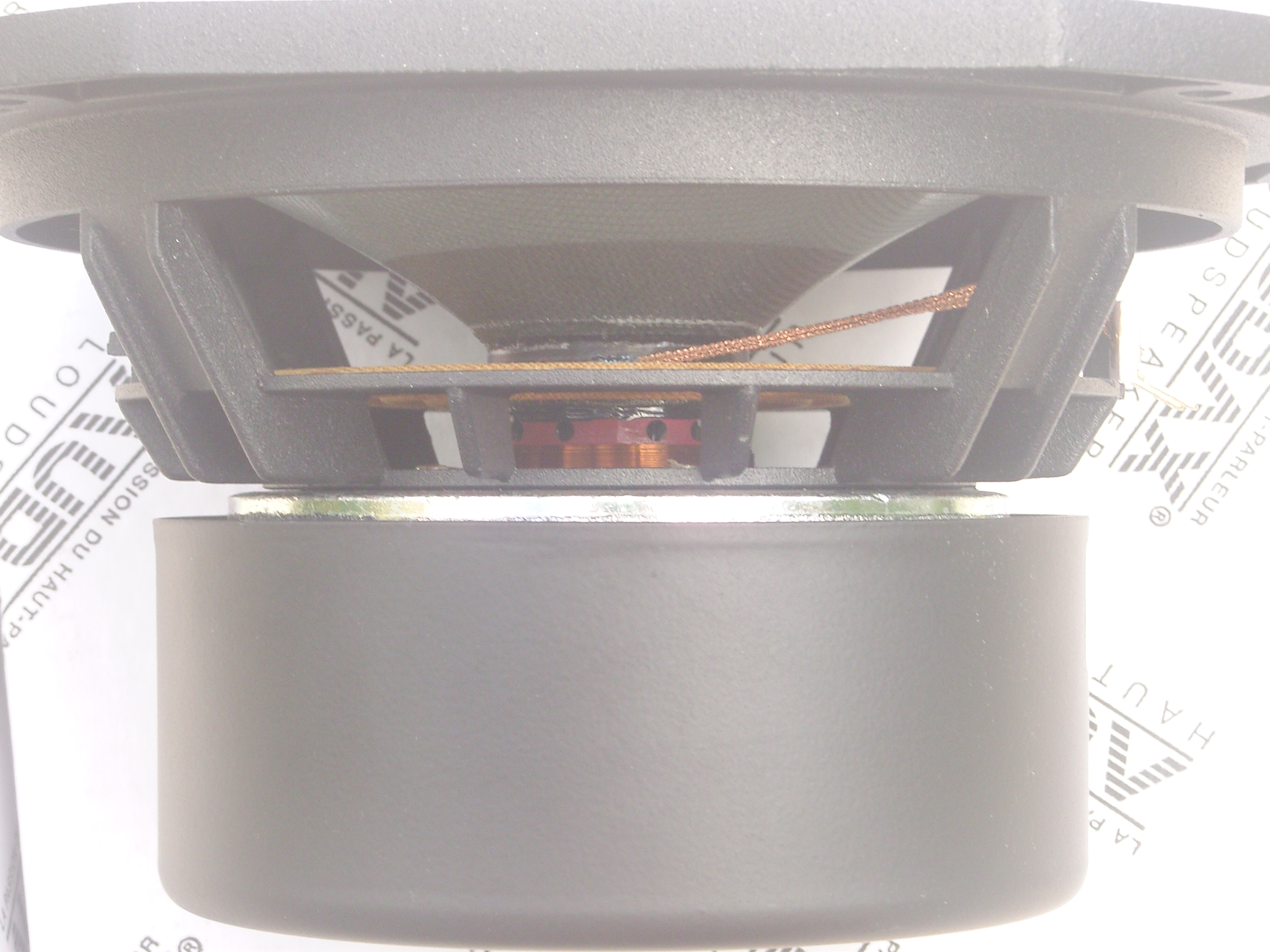 audax medium basse (11)