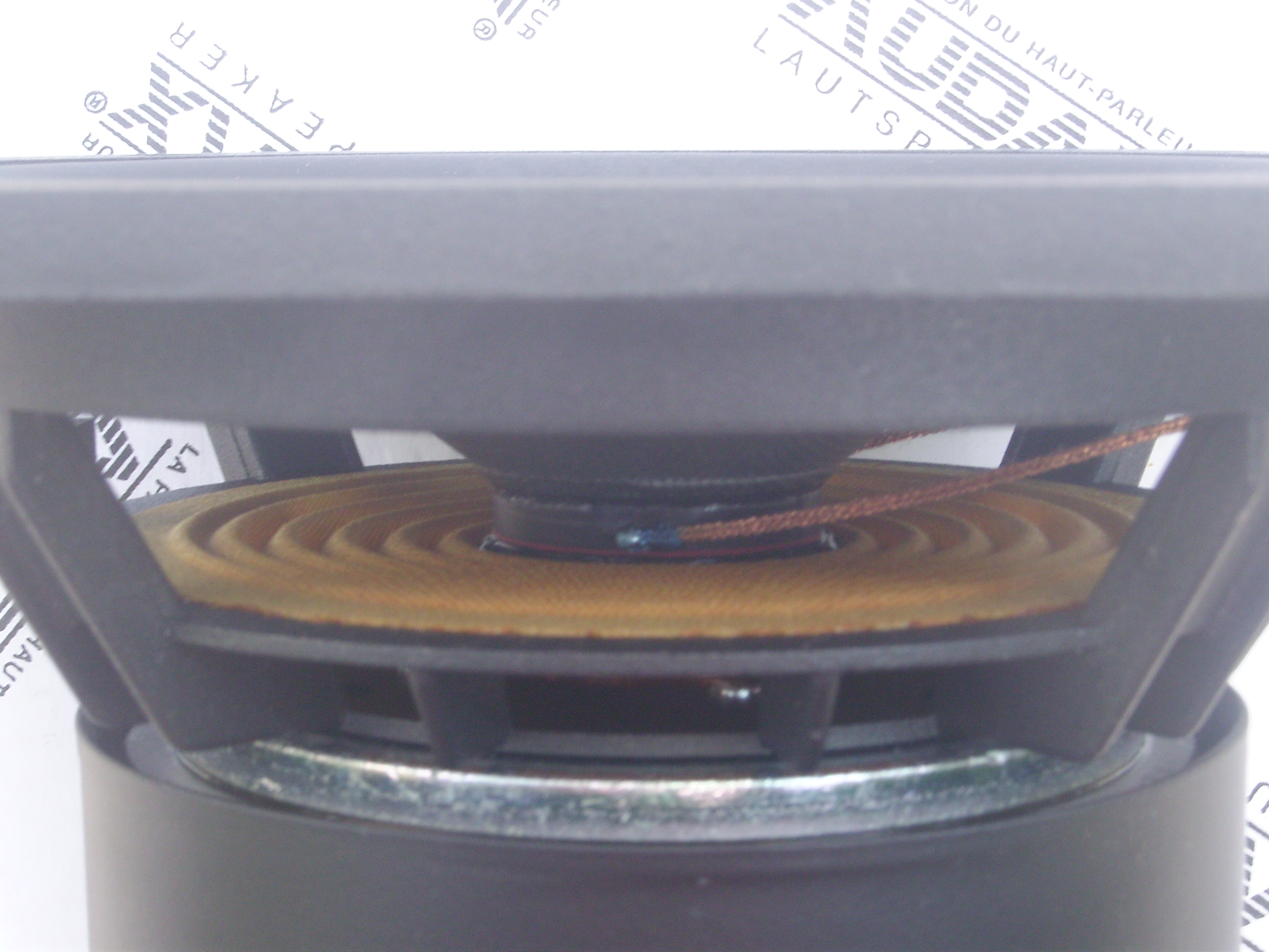 audax medium basse (13)