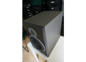 Dynaudio AIR 15 (95237)