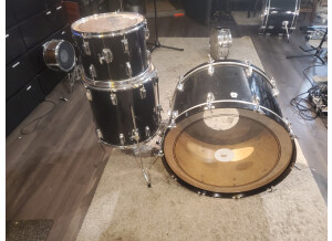 Ludwig Drums Classic Maple (19884)