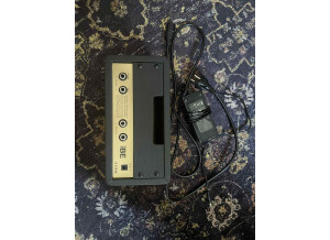 Friedman Amplification BE Mini head (71317)