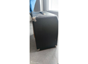 Fender Super 60 (52359)