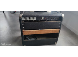 Fender Super 60 (10311)