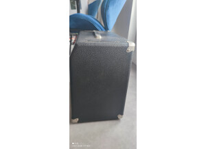 Fender Super 60 (93606)