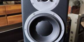 Vente d'une Paire d'enceintes studio dynaudio bm5 mkiii