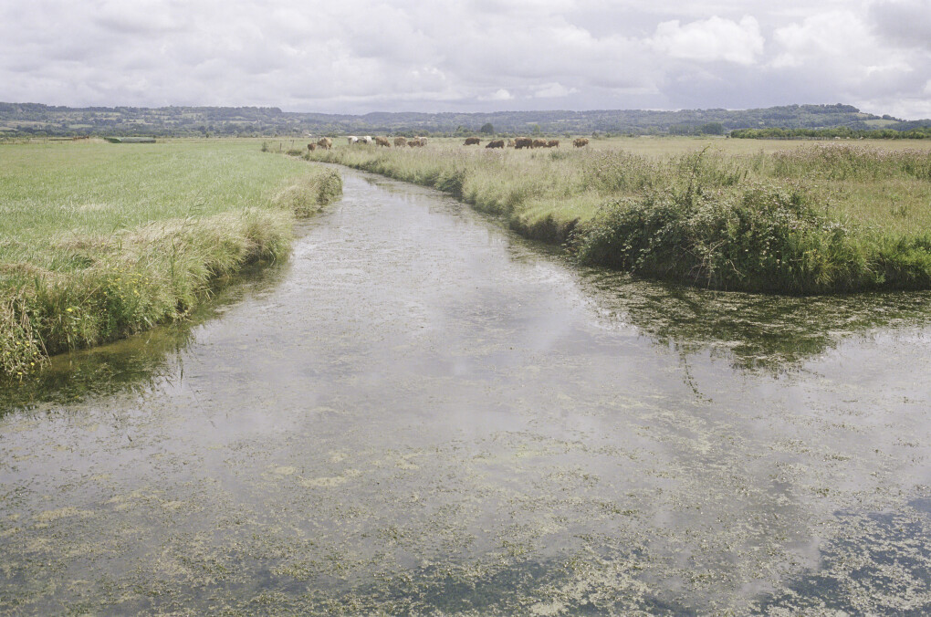 6600817.jpg 6600817.jpg