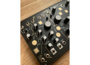 Make Noise Strega (47944)