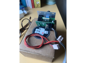 Intellijel Designs Phones 1U (81288)