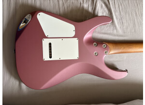 Charvel Pro-Mod DK24 HH 2PT CM (33892)