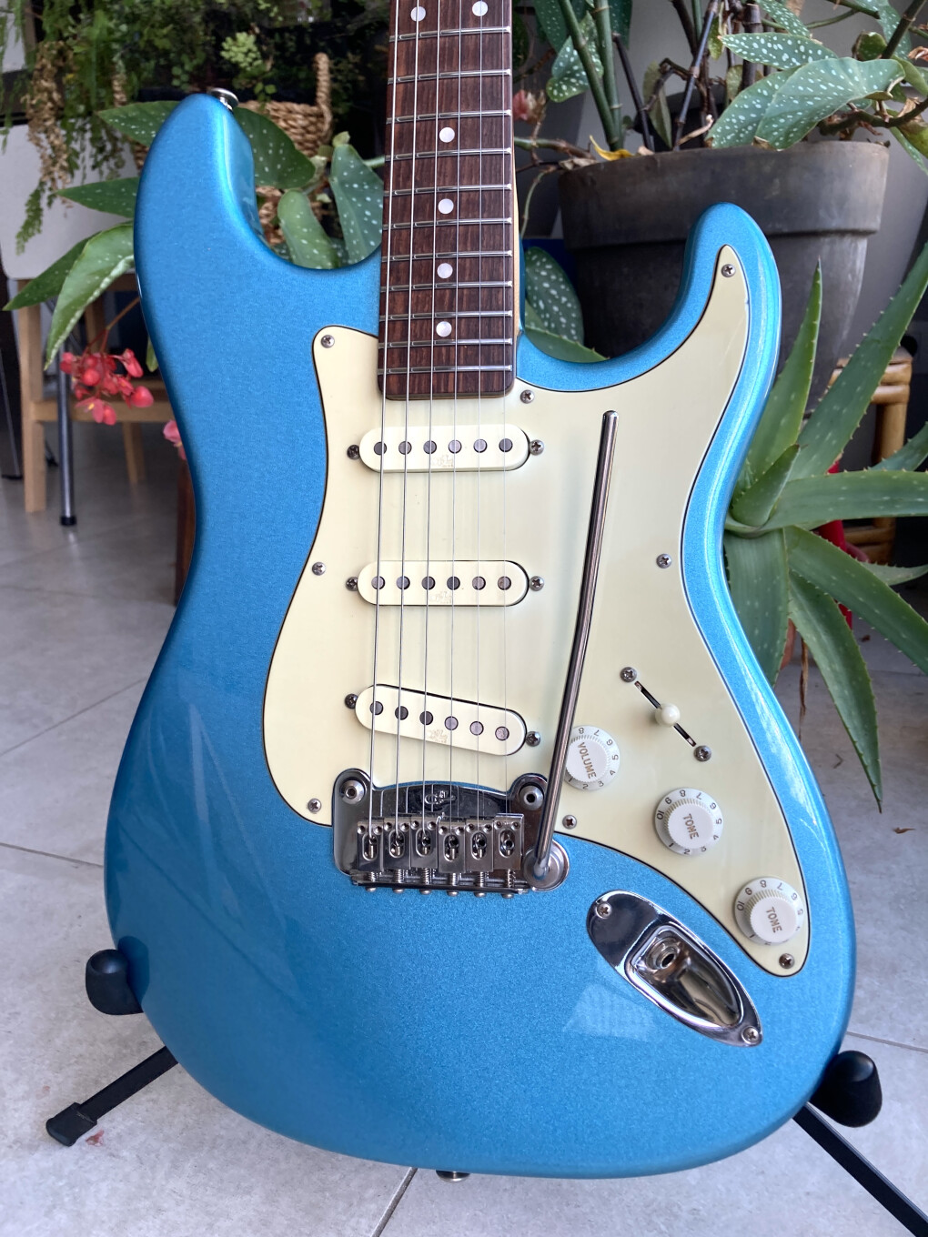 6603053.jpeg 6603053.jpeg