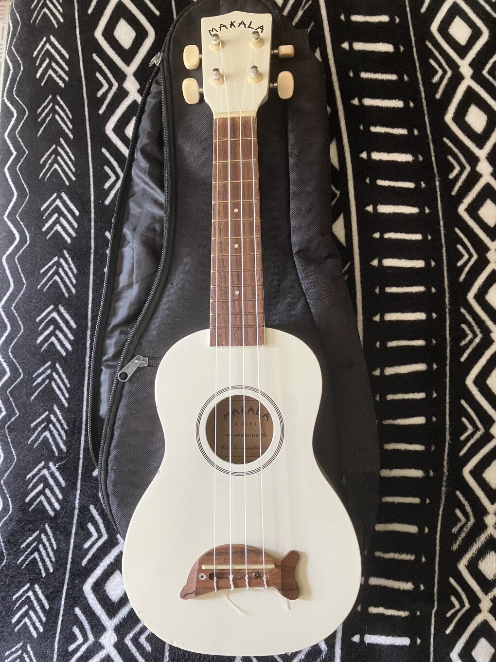 6604568.jpeg 6604568.jpeg