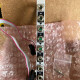 Quad Inverter Quad Inverter