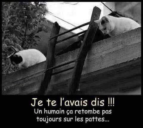 6605049.jpg 6605049.jpg