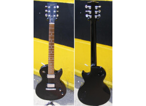 Gibson Les Paul Vixen (48221)
