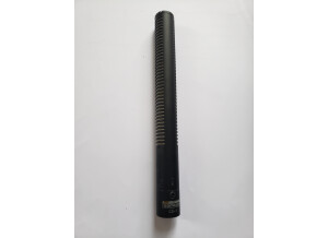 cs-1 recto