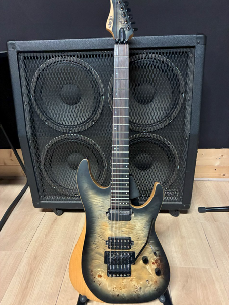 Schecter Reaper C-6 FR S – Série rare Sustainiac + Flight Case