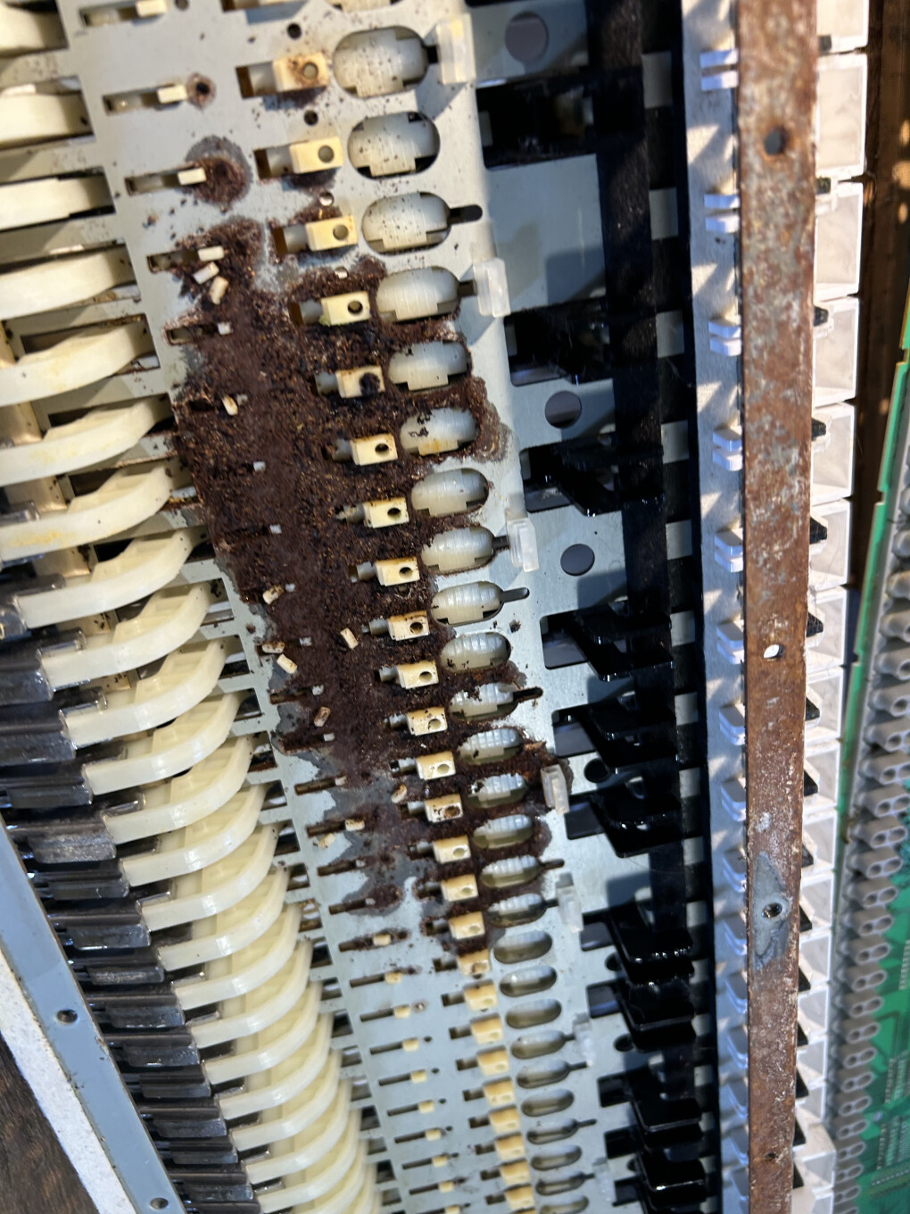 6608572.jpeg 6608572.jpeg