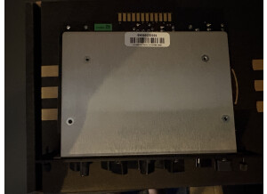 Synergy Amps Peavey 6505 Preamp Module (8801)