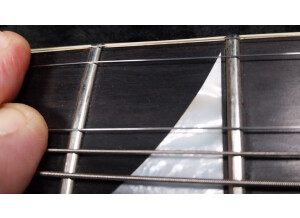 Frets