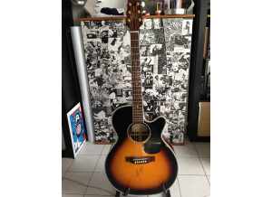 Takamine EG460SC (24240)