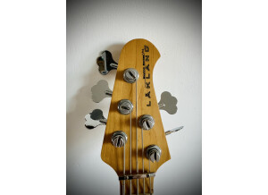 Lakland 55-02 (2)