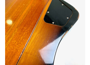 Gibson Thunderbird Bass (2015) (15760)