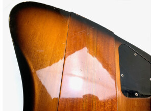 Gibson Thunderbird Bass (2015) (279)