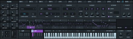 Serum2 Arp 2 Serum2 Arp 2