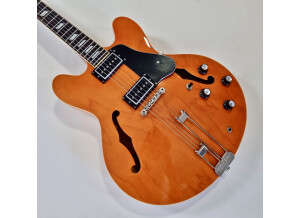 Epiphone Nick Valensi Riviera P94 (62479)