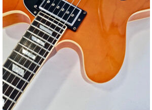 Epiphone Nick Valensi Riviera P94 (33273)