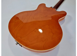 Epiphone Nick Valensi Riviera P94 (33377)