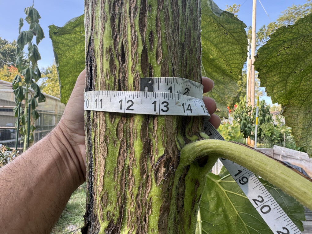 6614607.jpg 6614607.jpg