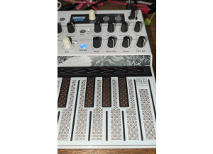 Arturia Microfreak Vocoder (28791)