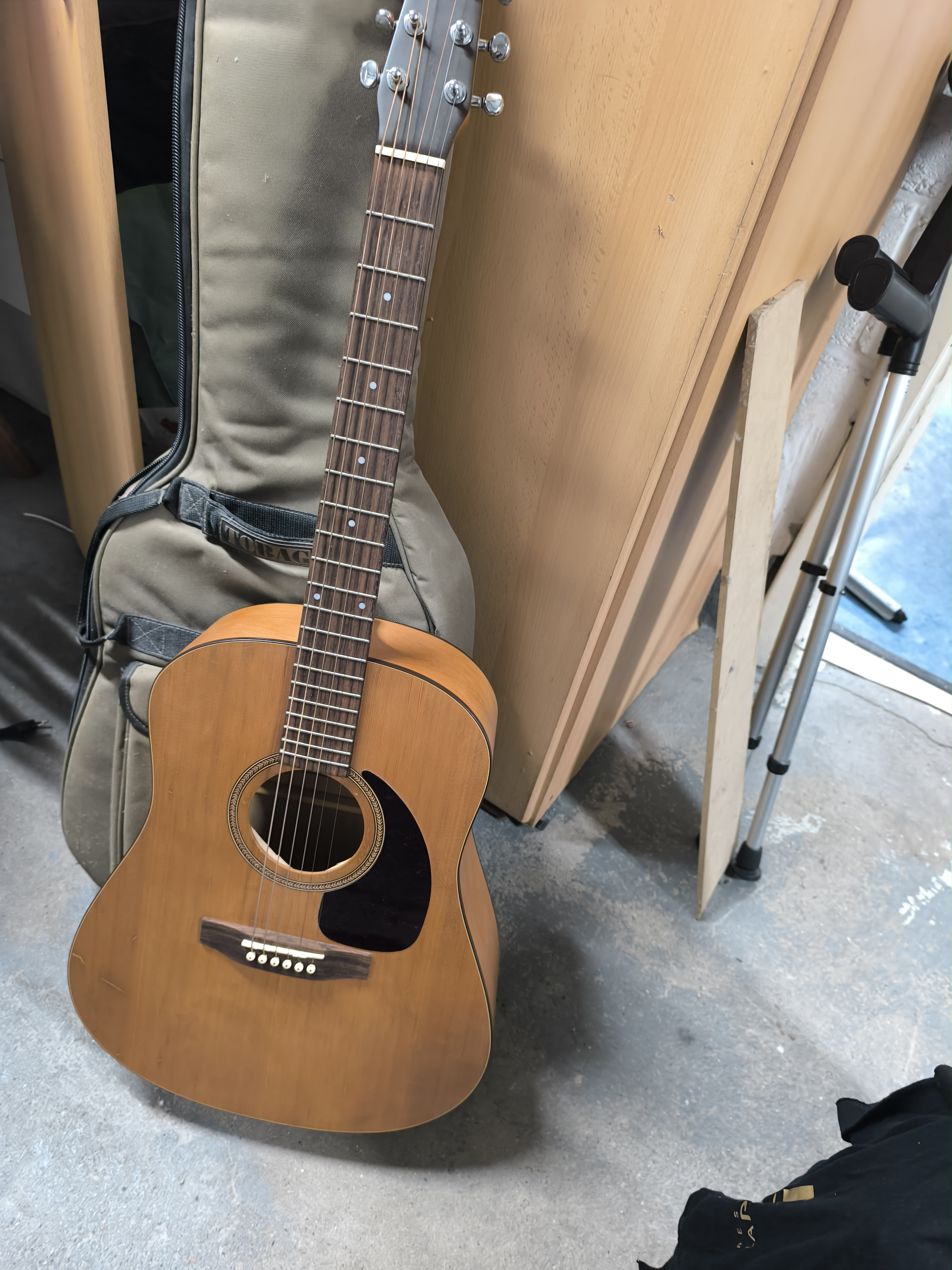 Vends Guitare Seagull avec housse