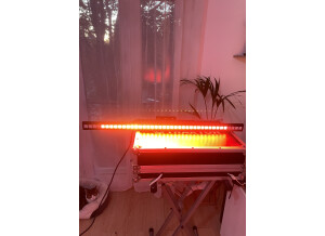 IMG 0758
