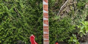 Rickenbacker 4003 fg (2016)