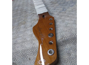 Sire Larry Carlton S7 FM (33992)