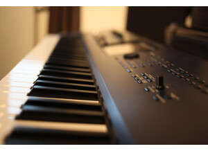 Korg Kronos 73 (447)