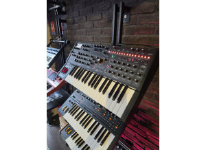 Pro 3 3