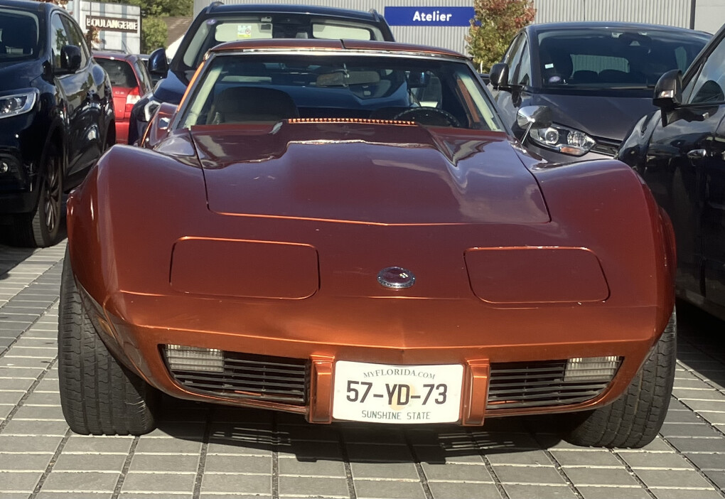 6617593.jpeg 6617593.jpeg