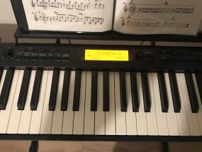 Casio CDP-S360