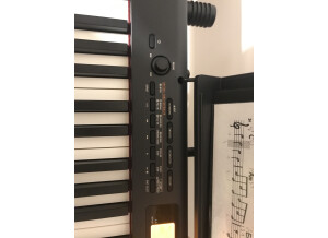 Casio CDP-S360 (6790)