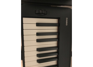 Casio CDP-S360 (209)